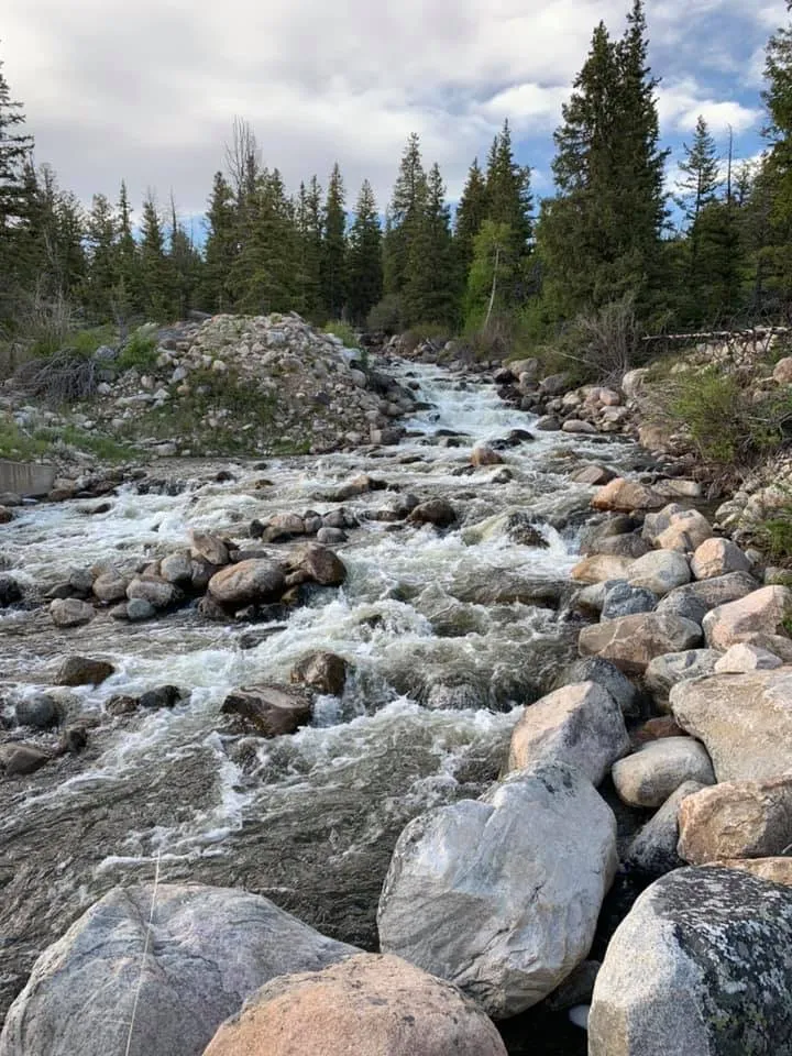 Loresa Brinkerhoff Cover